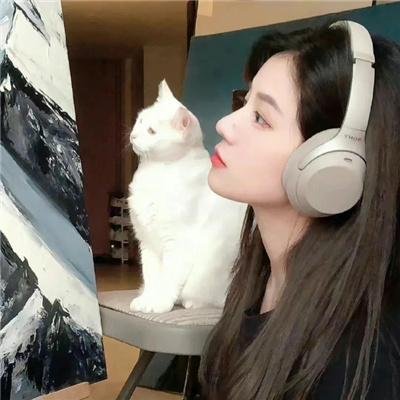 我要怎么感动你